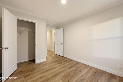 Tiny photo for 301 County Road 334, Niota, TN 37826 (MLS # 1334027)