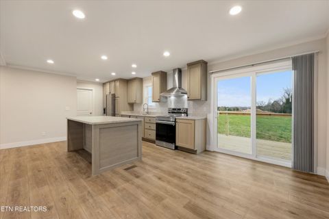 Tiny photo for 301 County Road 334, Niota, TN 37826 (MLS # 1334027)