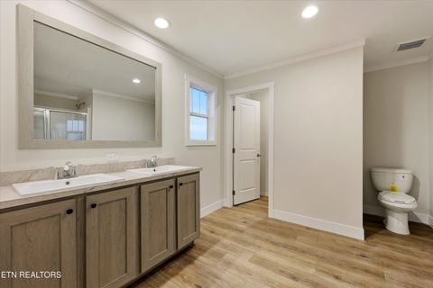 Tiny photo for 301 County Road 334, Niota, TN 37826 (MLS # 1334027)