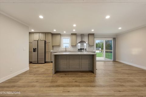 Tiny photo for 301 County Road 334, Niota, TN 37826 (MLS # 1334027)