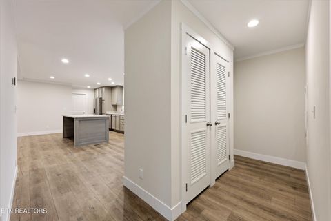 Tiny photo for 301 County Road 334, Niota, TN 37826 (MLS # 1334027)