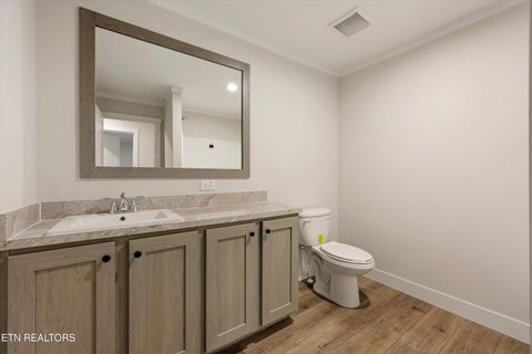 Tiny photo for 301 County Road 334, Niota, TN 37826 (MLS # 1334027)