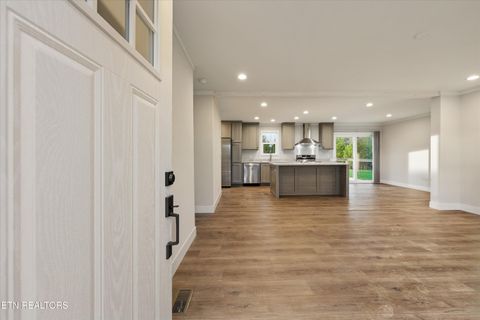 Tiny photo for 301 County Road 334, Niota, TN 37826 (MLS # 1334027)