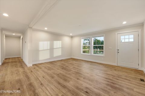 Tiny photo for 301 County Road 334, Niota, TN 37826 (MLS # 1334027)