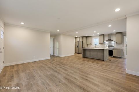 Tiny photo for 301 County Road 334, Niota, TN 37826 (MLS # 1334027)