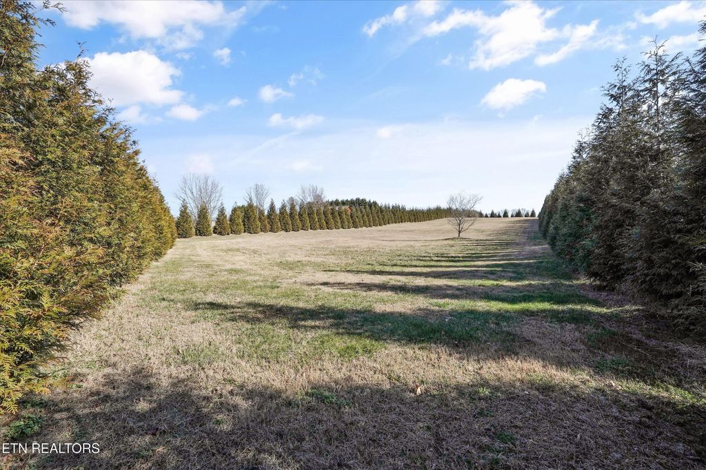 Photo of 00 Holston River Drive, Rutledge, TN 37861 (MLS # 1327122)