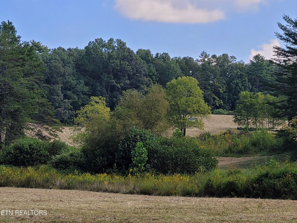 Photo of Epperson Rd, Tellico Plains, TN 37385 (MLS # 1242370)