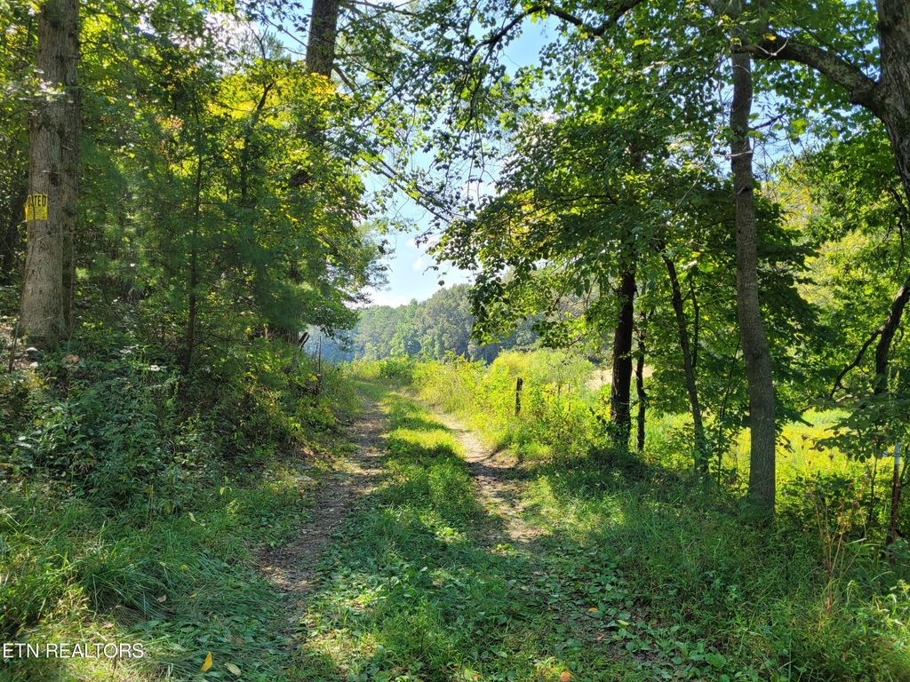 Photo of Epperson Rd, Tellico Plains, TN 37385 (MLS # 1242370)