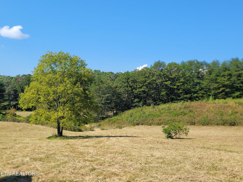 Photo of Epperson Rd, Tellico Plains, TN 37385 (MLS # 1242370)