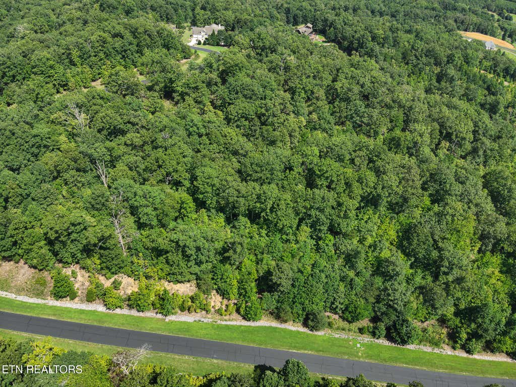 Photo of 393 W Mountain Drive, Rockwood, TN 37854 (MLS # 1349480)