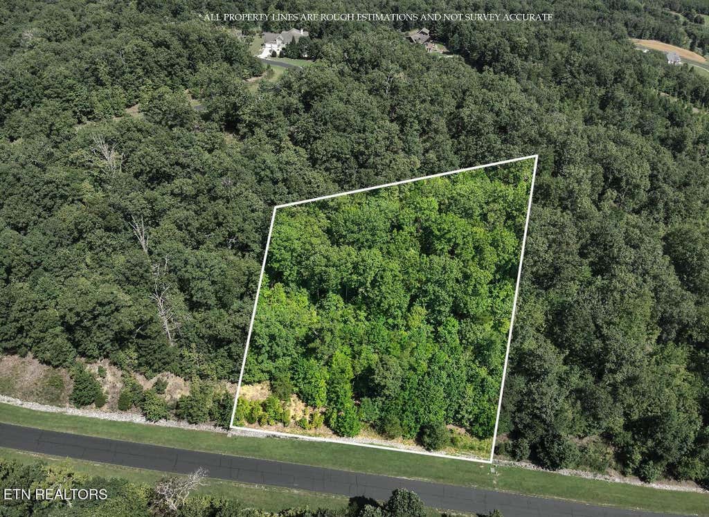 Photo of 393 W Mountain Drive, Rockwood, TN 37854 (MLS # 1349480)
