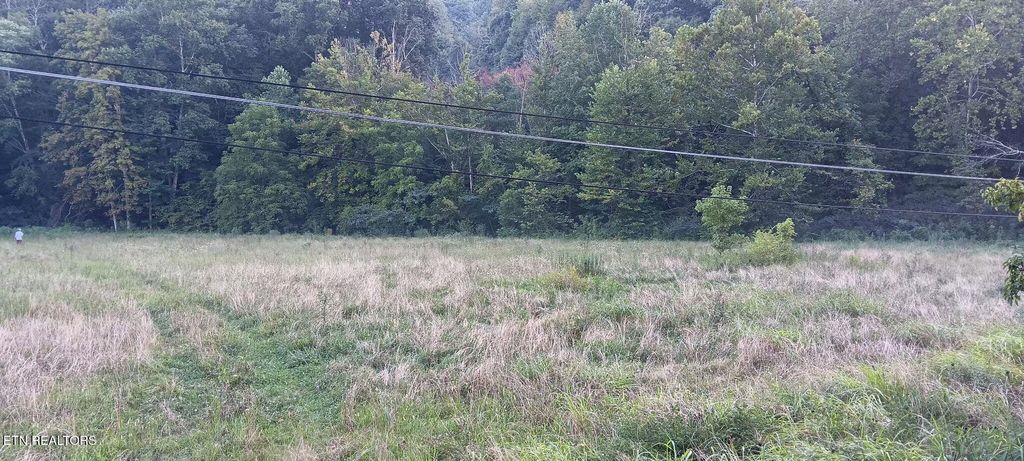Photo of Cane Creek Rd, Rocky Top, TN 37769 (MLS # 1311285)