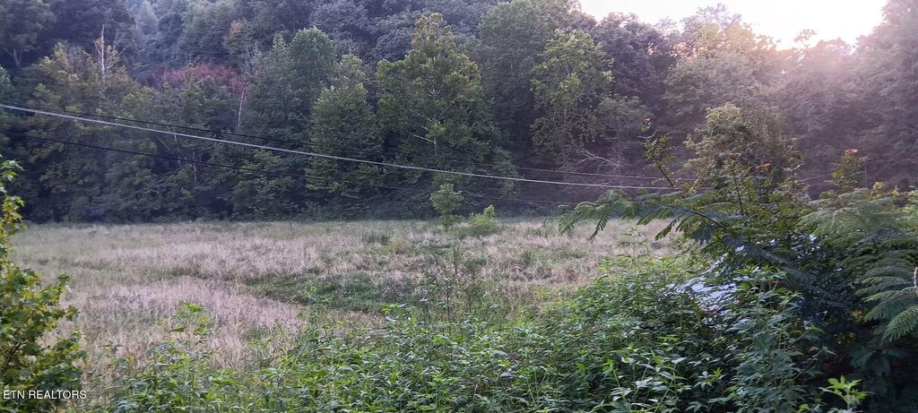 Photo of Cane Creek Rd, Rocky Top, TN 37769 (MLS # 1311285)