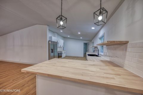 Tiny photo for 131 Collier Drive, Kingston, TN 37763 (MLS # 1348089)