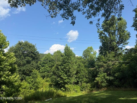 Tiny photo for 129 Old Bryant Lane, Rocky Top, TN 37769 (MLS # 1346445)
