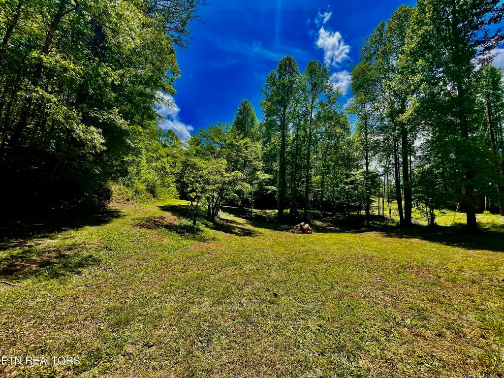 Photo of 1294 Rafter Rd, Tellico Plains, TN 37385 (MLS # 1300030)