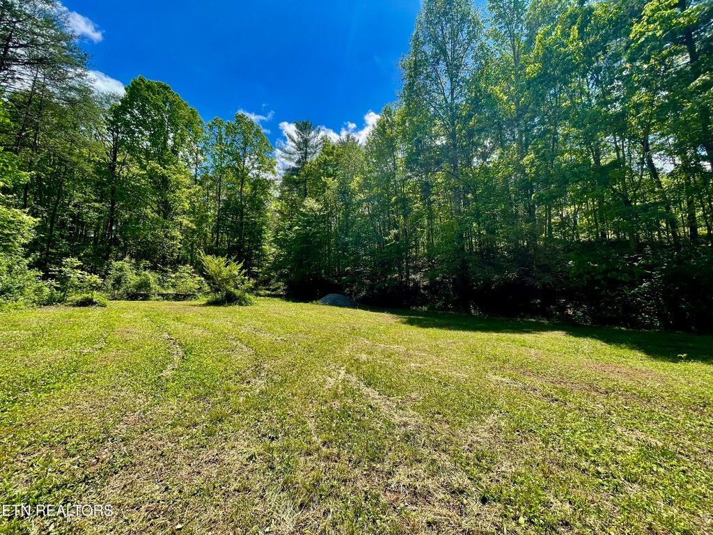 Photo of 1294 Rafter Rd, Tellico Plains, TN 37385 (MLS # 1300030)