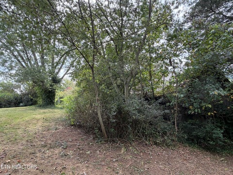 Tiny photo for 201 Hillcrest Ave, Rocky Top, TN 37769 (MLS # 1357769)
