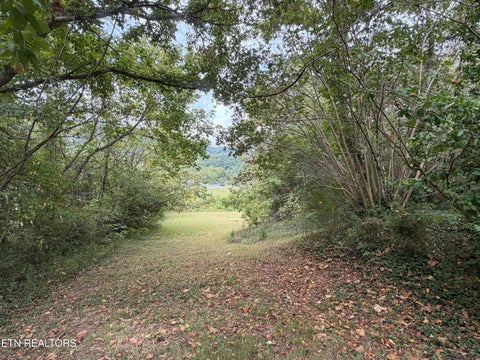 Tiny photo for 201 Hillcrest Ave, Rocky Top, TN 37769 (MLS # 1357769)