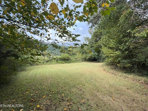 Tiny photo for 201 Hillcrest Ave, Rocky Top, TN 37769 (MLS # 1357769)