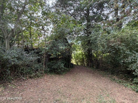 Tiny photo for 201 Hillcrest Ave, Rocky Top, TN 37769 (MLS # 1357769)