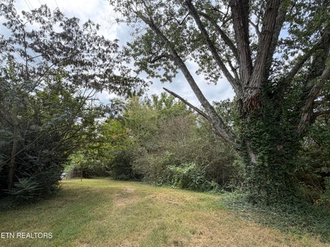 Tiny photo for 201 Hillcrest Ave, Rocky Top, TN 37769 (MLS # 1357769)