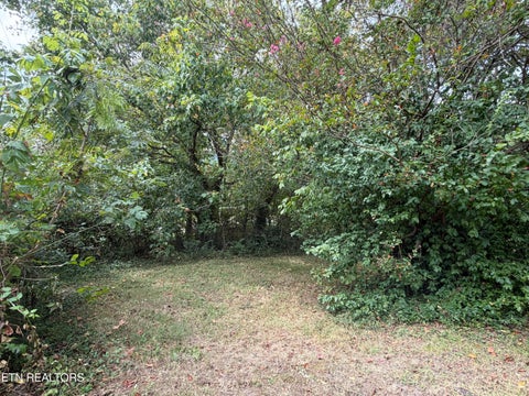 Tiny photo for 201 Hillcrest Ave, Rocky Top, TN 37769 (MLS # 1357769)