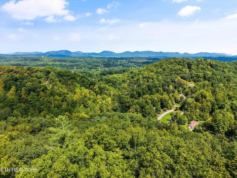 Tiny photo for 115 Graceland Rd, Oak Ridge, TN 37830 (MLS # 1354875)