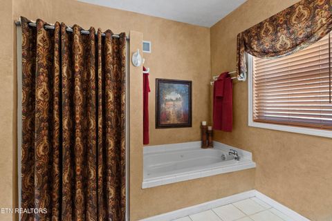 Tiny photo for 429 Filet Lane, Dandridge, TN 37725 (MLS # 1346738)