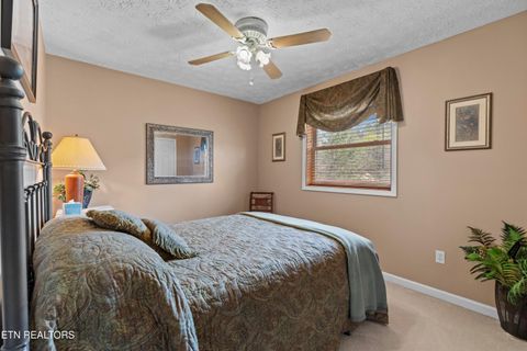 Tiny photo for 429 Filet Lane, Dandridge, TN 37725 (MLS # 1346738)
