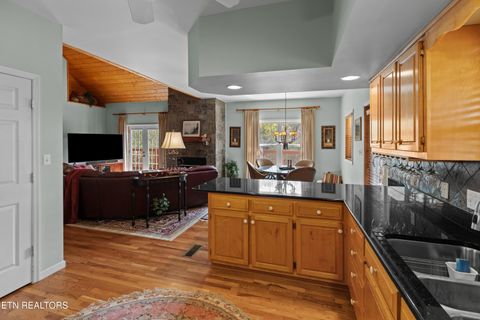 Tiny photo for 429 Filet Lane, Dandridge, TN 37725 (MLS # 1346738)