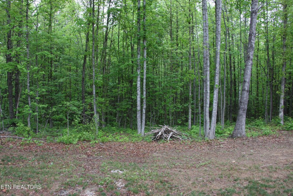 Photo of 154 Copley Cemetery Rd, Jamestown, TN 38556 (MLS # 1338788)