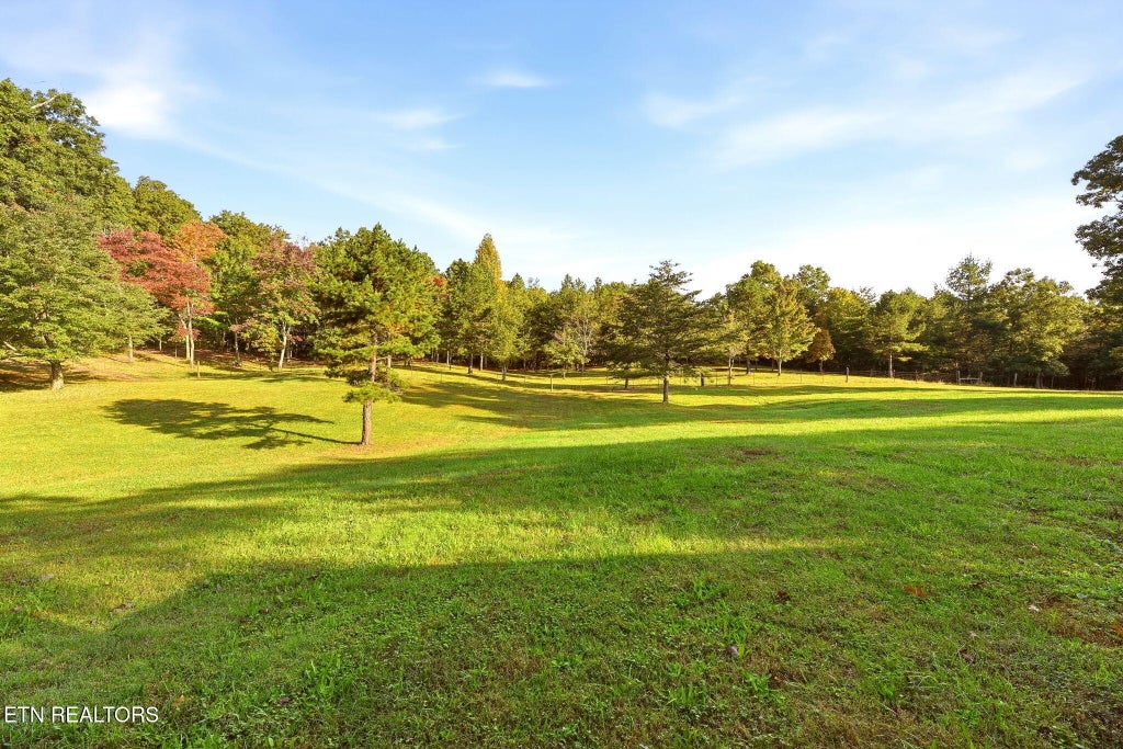 Photo of 446 Arnolds Way, Crossville, TN 38571 (MLS # 1359118)