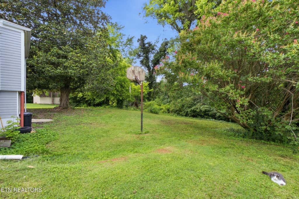 Photo of 1114 Jones St, Athens, TN 37303 (MLS # 1351020)
