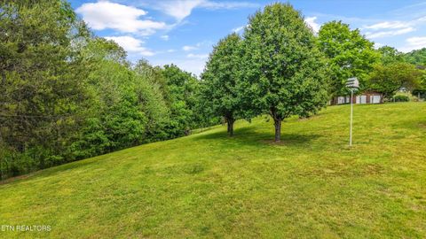 Tiny photo for 1500 Liberty Hill Drive, Washburn, TN 37888 (MLS # 1338795)