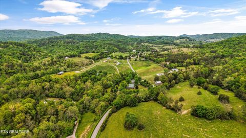 Tiny photo for 1500 Liberty Hill Drive, Washburn, TN 37888 (MLS # 1338795)
