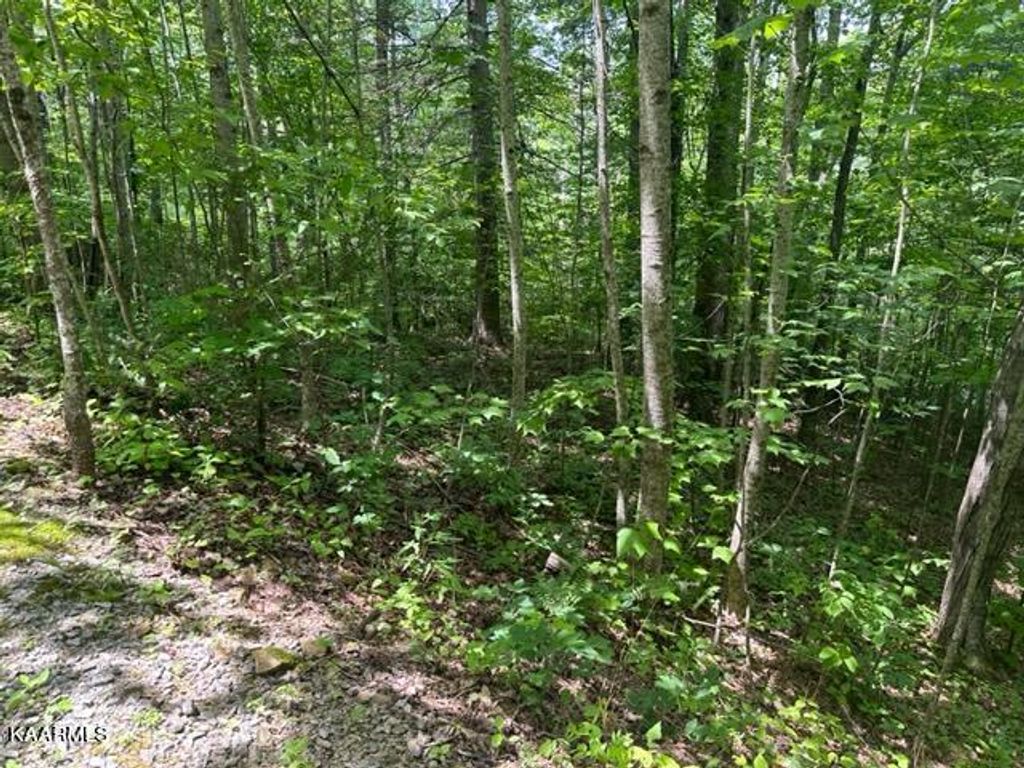 Photo of Stonegate Way, Townsend, TN 37882 (MLS # 1234875)