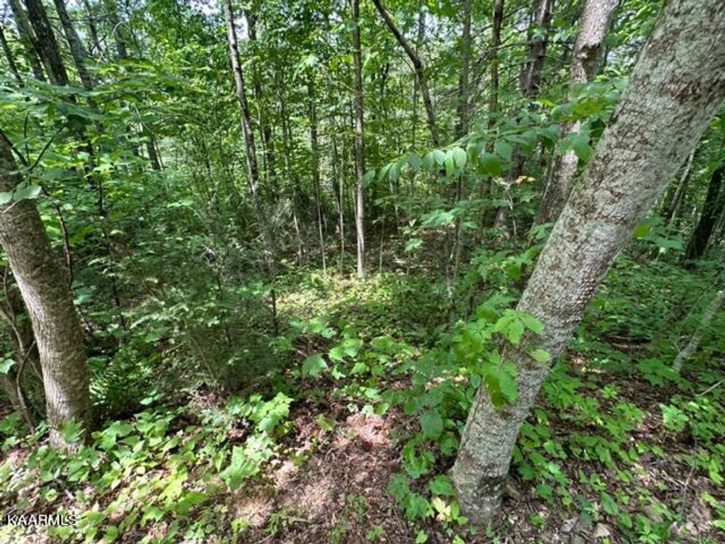 Photo of Stonegate Way, Townsend, TN 37882 (MLS # 1234875)