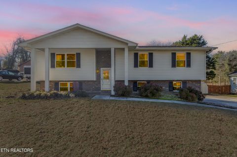 Photo of 2555 Robinson Drive, Louisville, TN 37777 (MLS # 1324546)