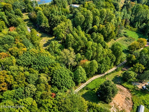 Tiny photo for 1431 Mountain View Rd, Rockwood, TN 37854 (MLS # 1357638)