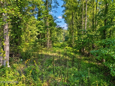 Tiny photo for 1431 Mountain View Rd, Rockwood, TN 37854 (MLS # 1357638)
