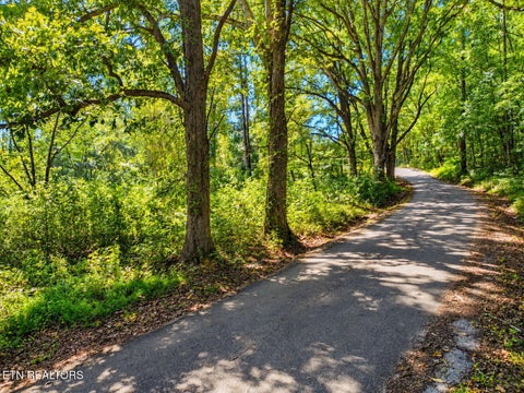 Tiny photo for 1431 Mountain View Rd, Rockwood, TN 37854 (MLS # 1357638)