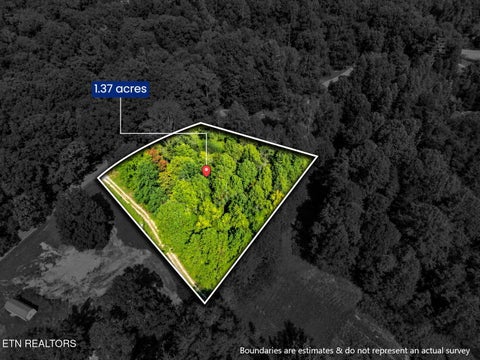Tiny photo for 1431 Mountain View Rd, Rockwood, TN 37854 (MLS # 1357638)