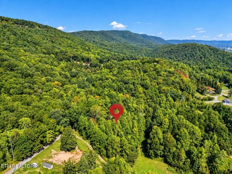 Photo of 1431 Mountain View Rd, Rockwood, TN 37854 (MLS # 1357638)