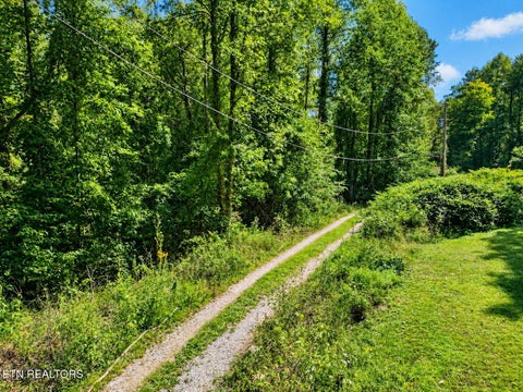 Tiny photo for 1431 Mountain View Rd, Rockwood, TN 37854 (MLS # 1357638)