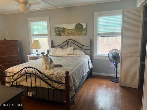 Tiny photo for 203 Tall Pine Circle, Tellico Plains, TN 37385 (MLS # 1333865)