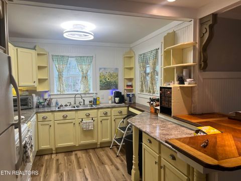 Tiny photo for 203 Tall Pine Circle, Tellico Plains, TN 37385 (MLS # 1333865)