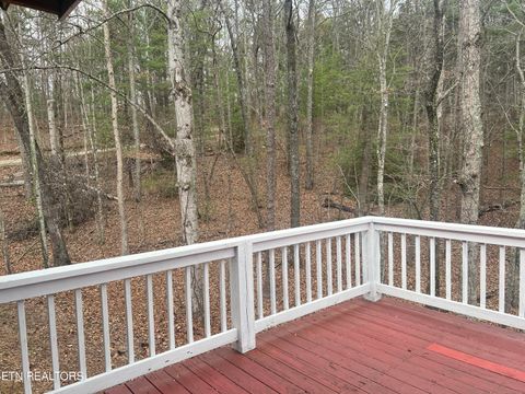 Tiny photo for 203 Tall Pine Circle, Tellico Plains, TN 37385 (MLS # 1333865)