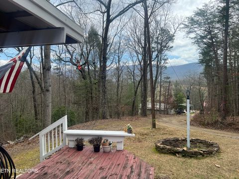 Tiny photo for 203 Tall Pine Circle, Tellico Plains, TN 37385 (MLS # 1333865)