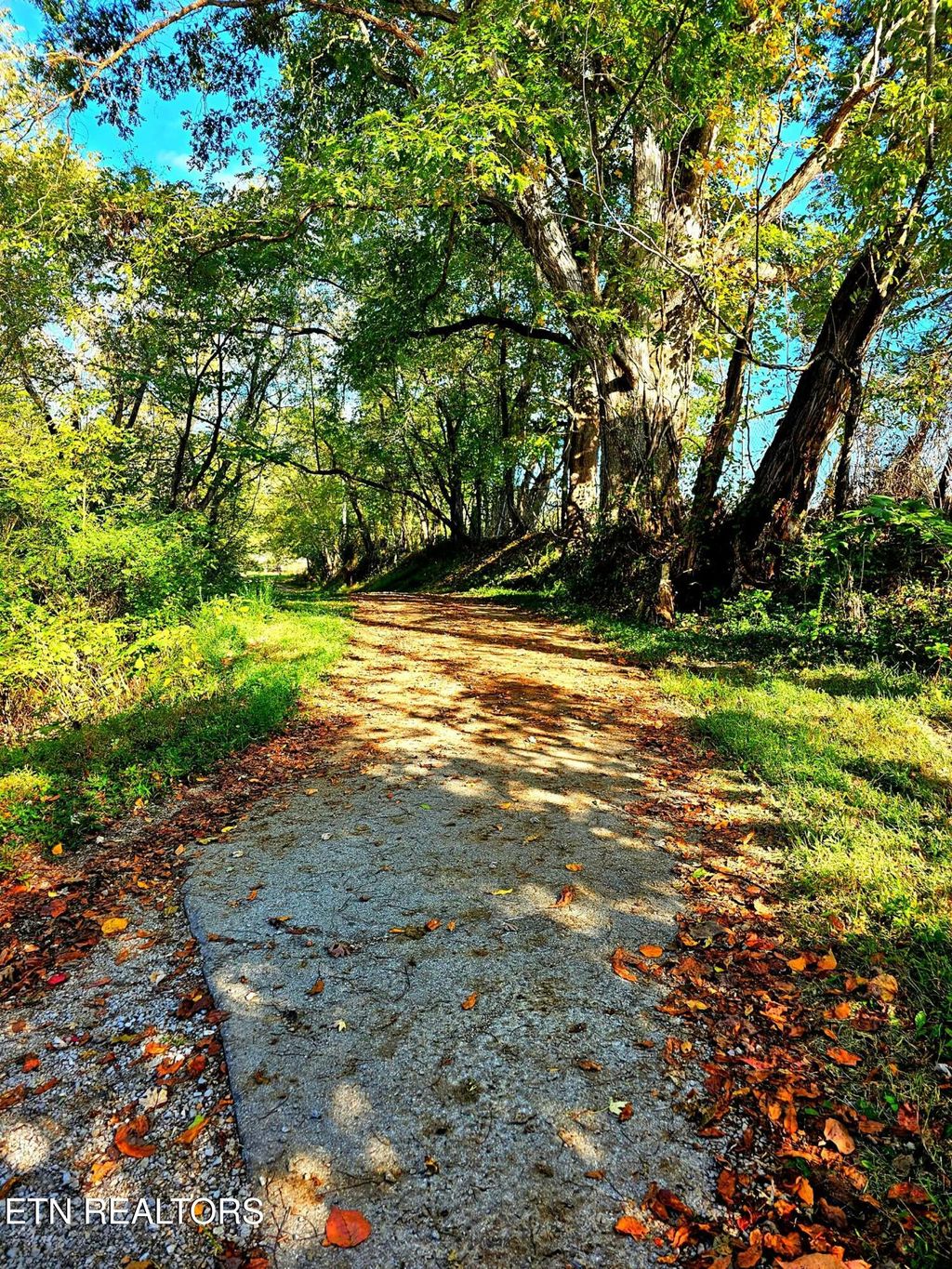 Photo of 1349 Green Lee Lane, Jellico, TN 37762 (MLS # 1325143)